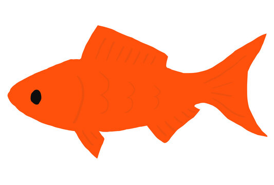 1 726 Best 金魚すくい Images Stock Photos Vectors Adobe Stock 1 726 Best 金魚すくい Images Stock Photos Vectors Adobe Stock