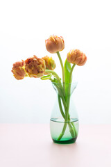 オレンジ色のチューリップ