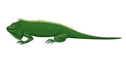 Iguana, green lizard. The animal lies, disdainful eyes, a lazy beast. Fun character illustration, green sleeping iguana. Vector drawing.