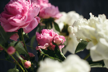 Dreamy flower bouquet of pink natural peonies flowers, spring and summer season bouquet