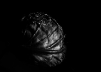 Monochrome abstract studio shot of cabbage in Johannesburg, South Africa
