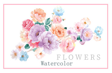 flowers illustration