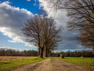 Obraz premium Celle 18.03.2021