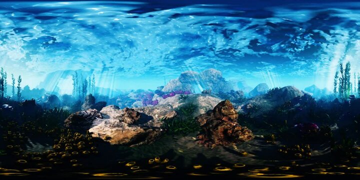 VR360 bottom of the ocean