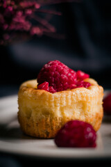 raspberry tart on a plate