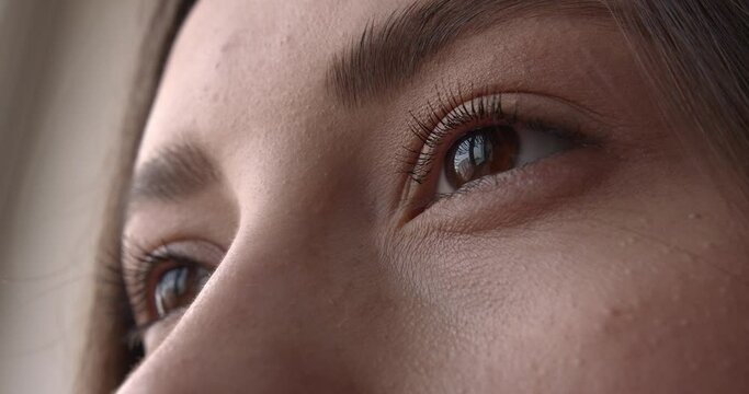 Beautiful brown woman eyes with thin lashes and perfectly formed eyebrows. Close up of female face. Details of natural beauty. 