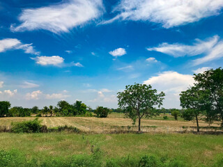 Fototapeta na wymiar Landscape of blue sky and beautiful cloud with meadow tree field