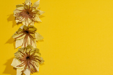yellow paper flowers on a yellow background