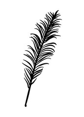 A fern leaf. Contour drawing by hand. Doodle style.