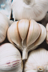 Bulb and cloves of garlic close up, macro. Selective focus.