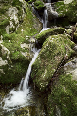 깨끗한 물이 흐르는 이끼낀 계곡