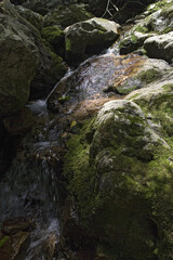 맑은 물이 흐르고있는 이끼낀 계곡