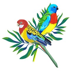 Parrot bird with exotic tropical leaves rint summer vector illustration