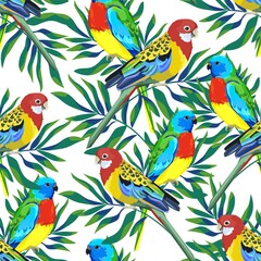 Motif avec de beaux perroquets et feuilles tropicales. fond d& 39 oiseaux tropicaux Illustration vectorielle.