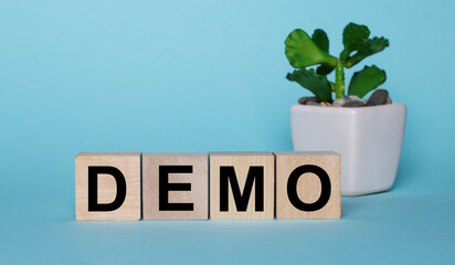 On a blue background, on wooden cubes near a plant in a pot DEMO is written