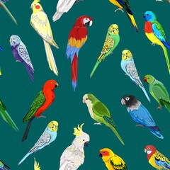 Pattern with beautiful parrots. exotic Birds green background Vector Illustration.