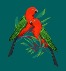Parrot bird with tropical leaves rint summer exotic vector illustration