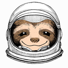 Smiling sloth face, vector portrait of sloth. Animal portrait