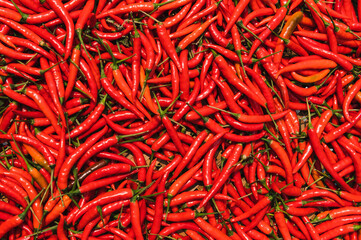 red ripe chilli texture background