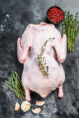 Raw free range duck with spices ready to cook. dark background. Top view