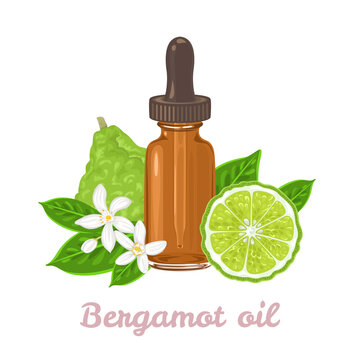 Bergamot essential oil. Amber glass dropper bottle, fragrant flowers, green leaf and citrus fruit isolated on white background. Vector illustration in cartoon flat style.