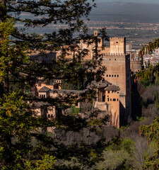 Fototapeta na wymiar Alhambra Park, Granada, Spain