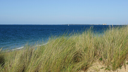 Fototapeta na wymiar Mer et dunes