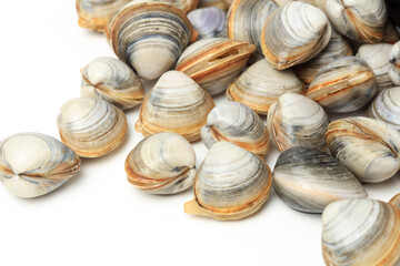 Stacked fresh raw clams on white background