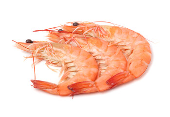 shrimps on a white background