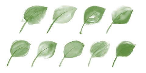 Green watercolor leaves set. Created with real brush strokes. Vector.