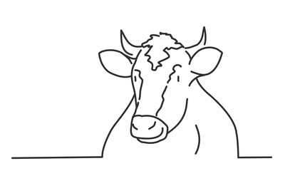 Cow, farm animal. Hand drawn vector illustration.