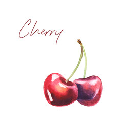 Watercolor botanic illustration with cherry on white background. Hand drawn food collection with berries. Perfect for cosmetics and perfumes, culinary books, magazines, textiles.