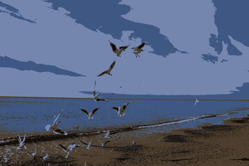 A flock of seagulls show in the air the wonders of aerial acrobatics, catching pieces of bread on the fly
