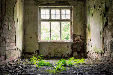 Lost green in..