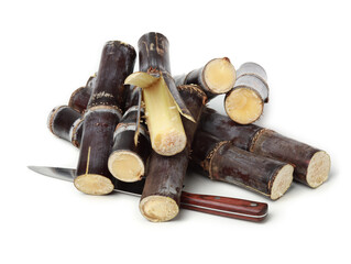 Sugar cane isolated on white background 
