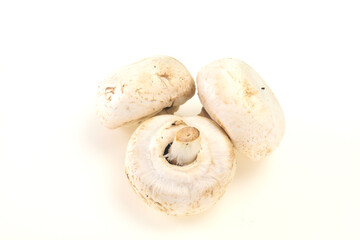 Raw Champignon heap for cooking