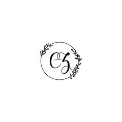 CZ initial letters Wedding monogram logos, hand drawn modern minimalistic and frame floral templates