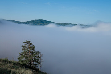 Mountain landscape with creeping fog. High peaks in the clouds, cold weather. Tourism in the mountains