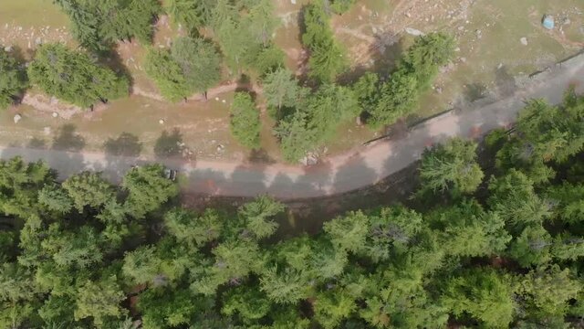 Aerial View Of Truck On Road Near Trees At UHSU Forest. Top Down View, Slow Motion