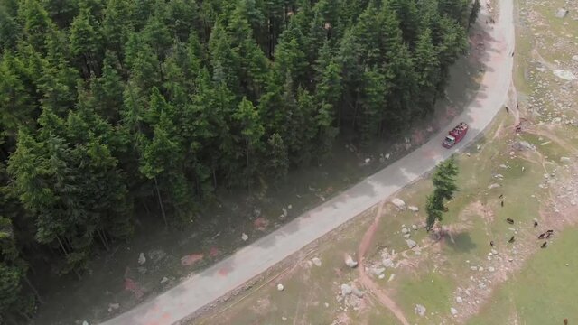 Aerial View Of Truck On Road Near Trees At UHSU Forest. Top Down View