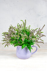 Chia seeds healthy superfood with flower isolated on white background