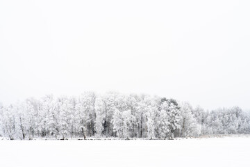 Winterscape