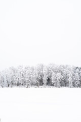 Winterscape