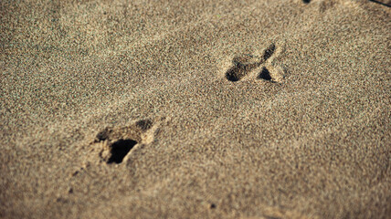 footprints in sand