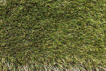 Background from green spring grass. Texture. Backdrop