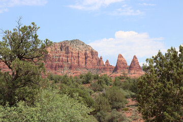 Fototapeta premium Arizona USA Grand Canyon Forest and Red Mountain National Park