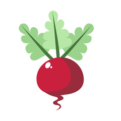 Isolated radish icon. Vegetable icon - Vector illustration