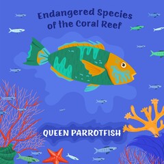 Obraz na płótnie Canvas Queen parrotfish. Coral reef inhabitants. Endangered fish species.
