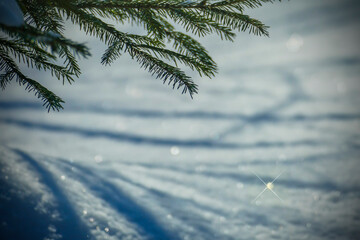 Obraz premium Snow glistens in the sun