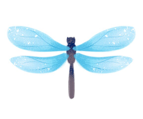 Clipart watercolor dragonfly. Boho vintage style. Cute illustration in cartoon childish style. The image is isolated on a white background.